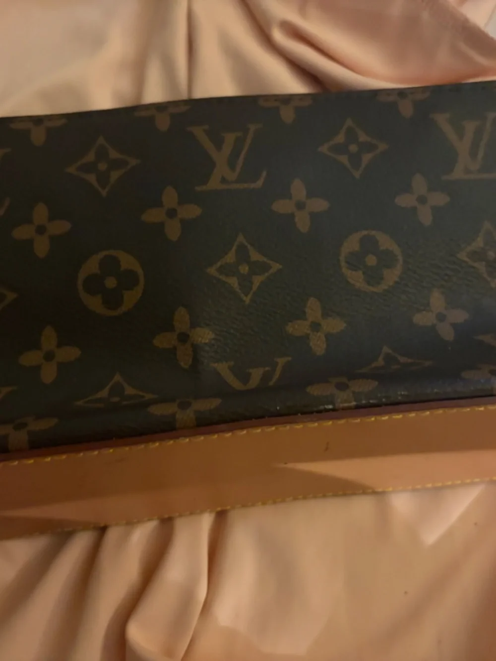 Louis Vuitton clutch